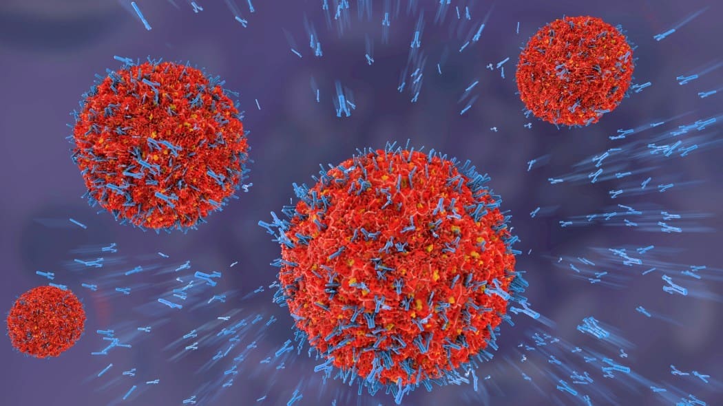 immunità